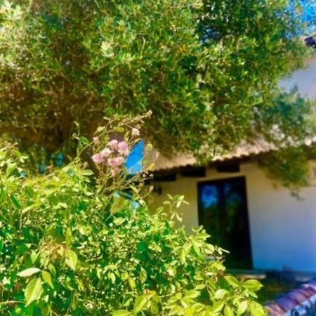 Camera Villa Sarda Aurora Elmas Luaran gambar