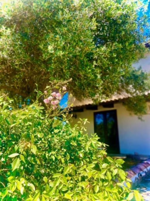 Camera Villa Sarda Aurora Elmas Luaran gambar